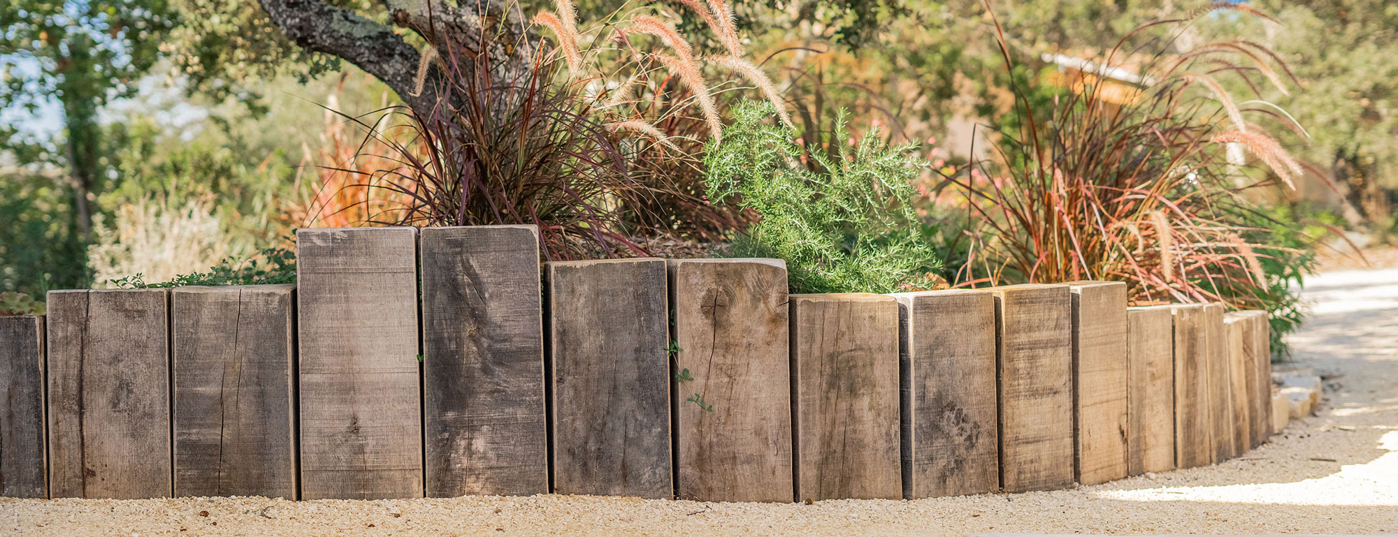 Aquavivia détails bordure jardin
