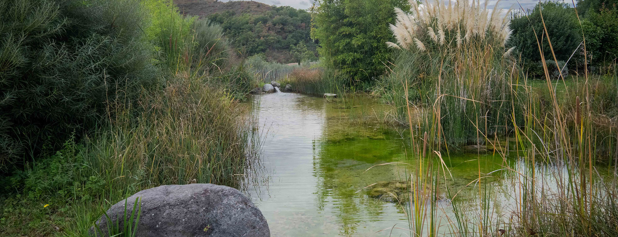 Aquavivia piscines naturelles